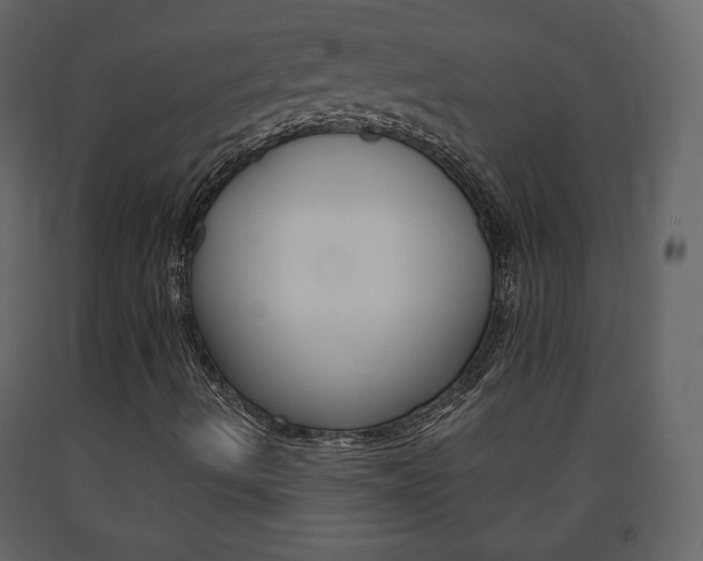 X0000091681490200708231055
