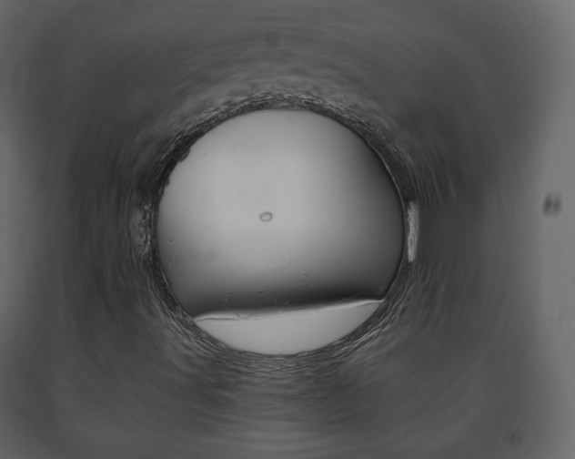 X0000091681491200708231055