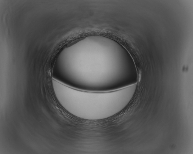 X0000091681492200708231055