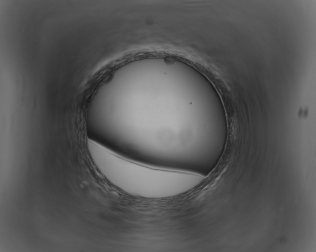 X0000091681494200708231055
