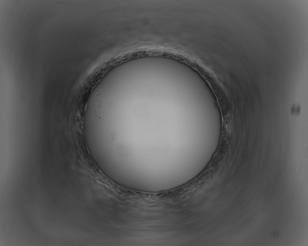 X0000091681495200708231055
