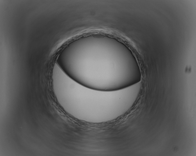 X0000091681496200708231055