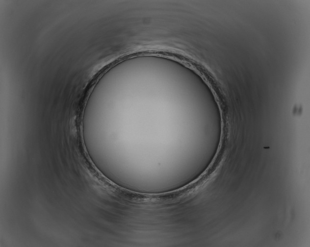 X0000091681497200708231055