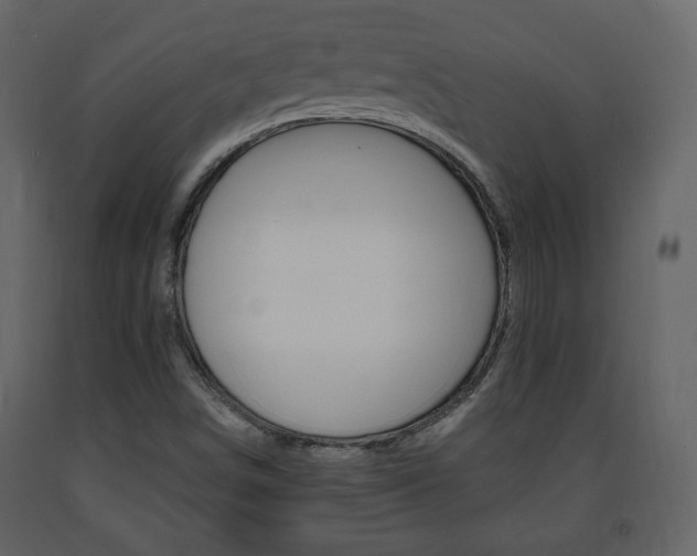 X0000091681498200708231055