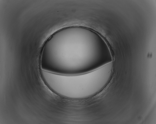 X0000091681500200708231055