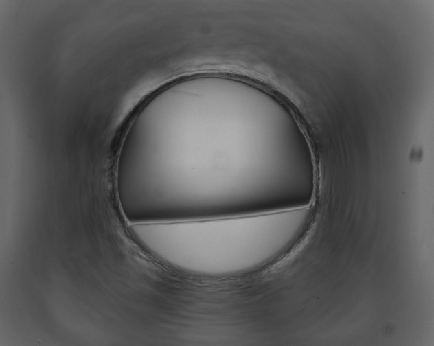 X0000091681501200708231055