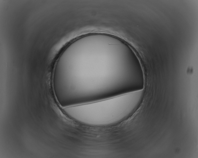 X0000091681503200708231056
