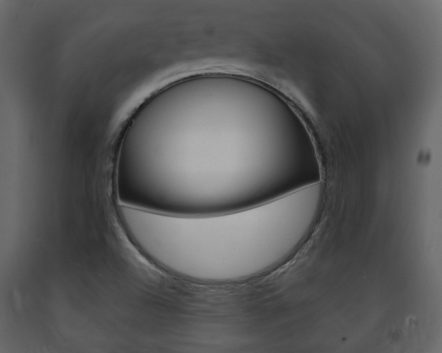 X0000091681504200708231056