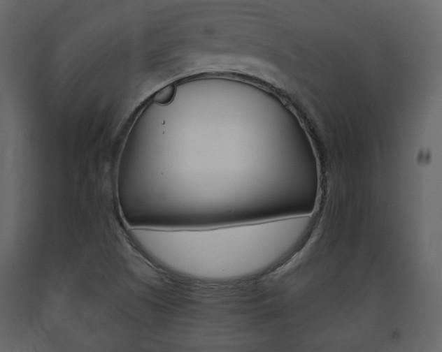 X0000091681505200708231056