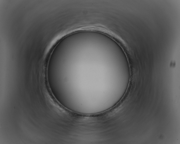 X0000091681506200708231056