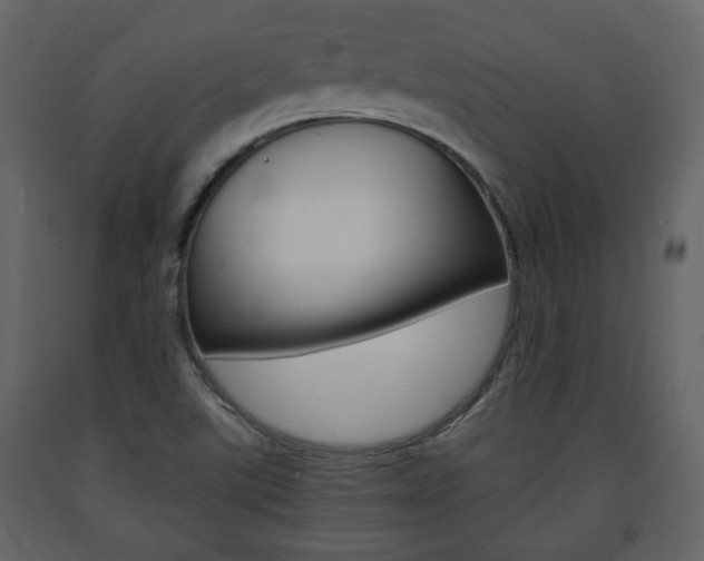 X0000091681507200708231056