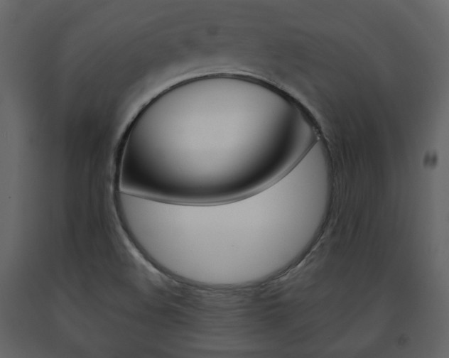 X0000091681508200708231056