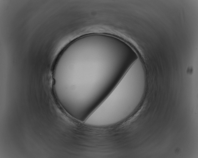 X0000091681509200708231056