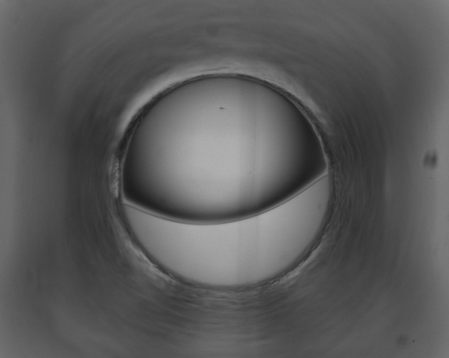 X0000091681510200708231056