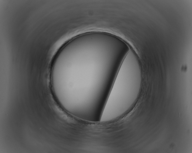 X0000091681511200708231056