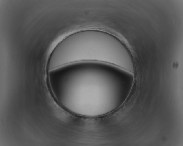 X0000091681512200708231056