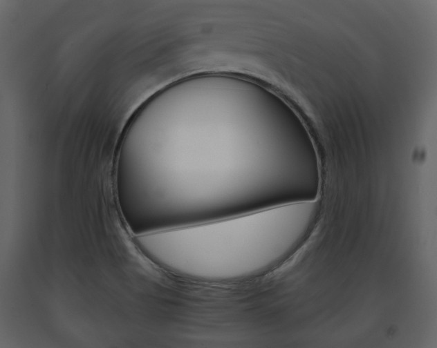 X0000091681513200708231056
