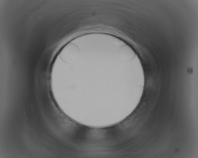 X0000091681514200708231056