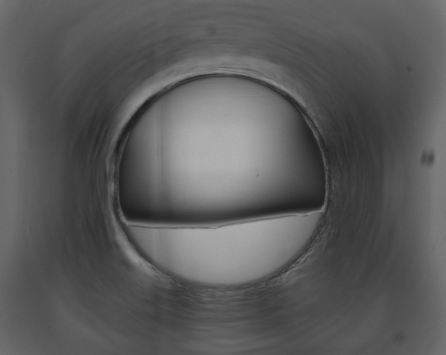 X0000091681515200708231056