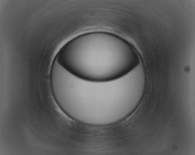 X0000091681516200708231056