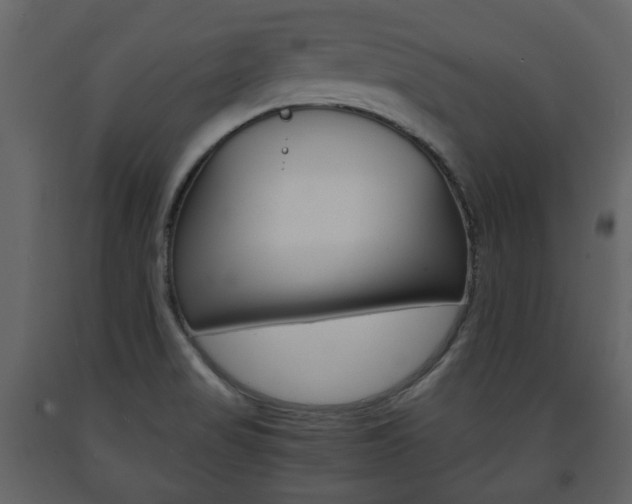 X0000091681517200708231056
