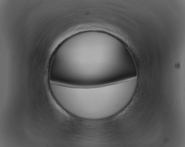 X0000091681518200708231056