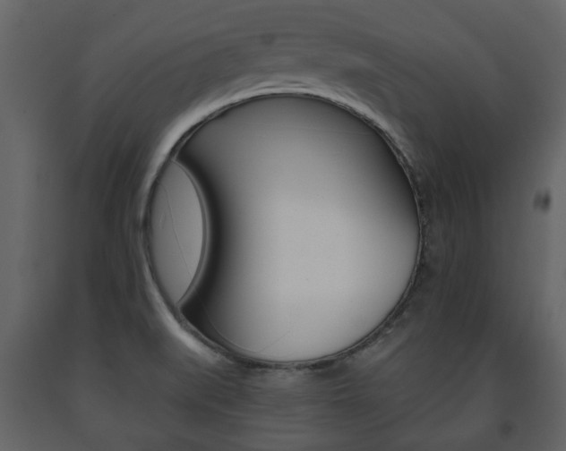 X0000091681519200708231056