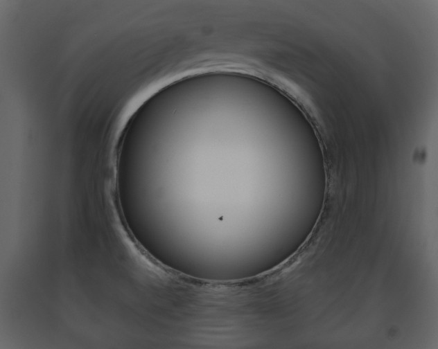 X0000091681520200708231056