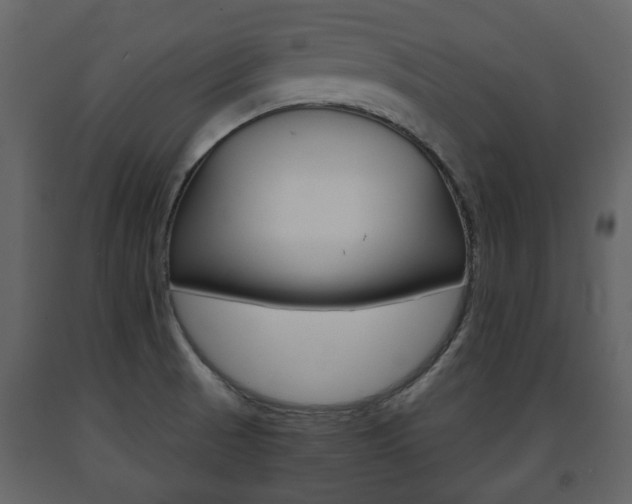 X0000091681521200708231056
