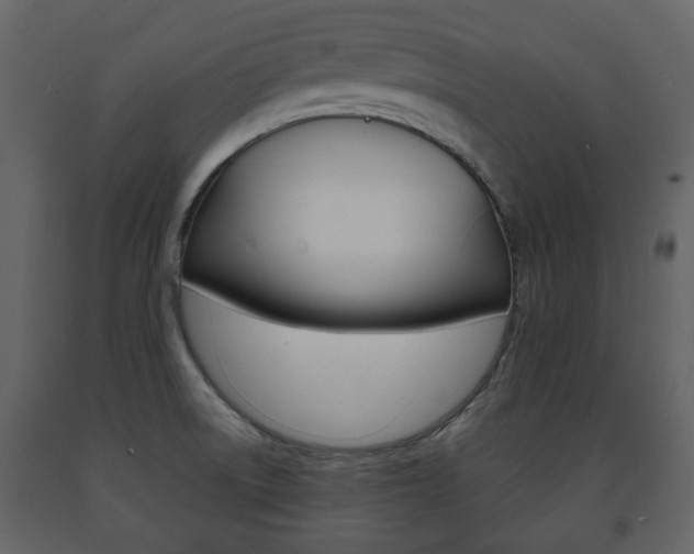 X0000091681522200708231056