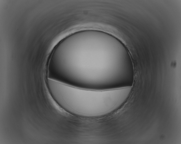 X0000091681523200708231056
