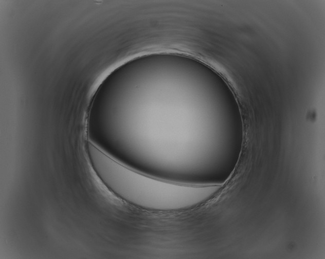 X0000091681524200708231056