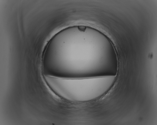 X0000091681525200708231056