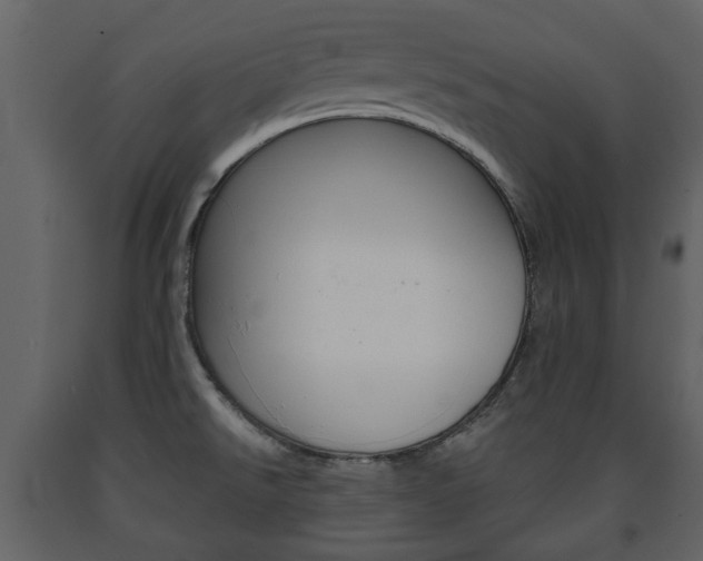 X0000091681526200708231056