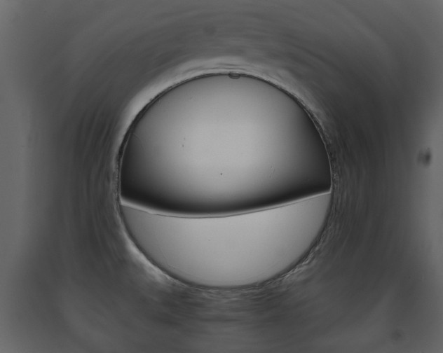 X0000091681527200708231056