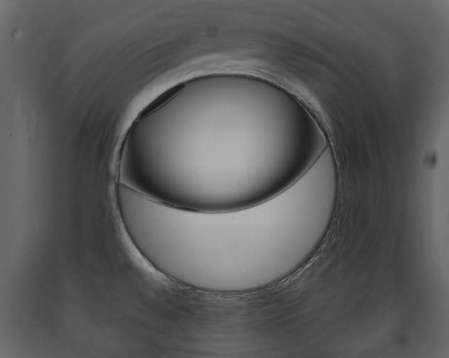 X0000091681528200708231056
