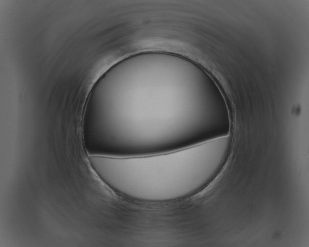 X0000091681529200708231056
