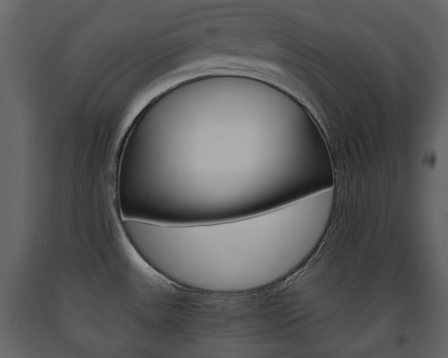 X0000091681531200708231056