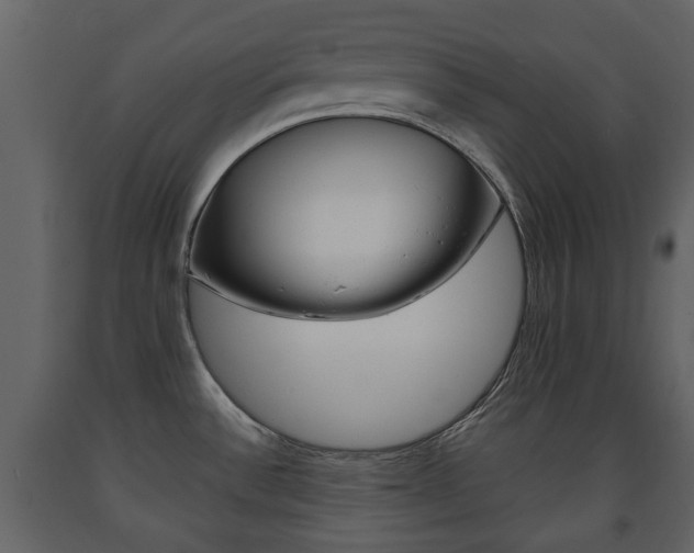 X0000091681532200708231056