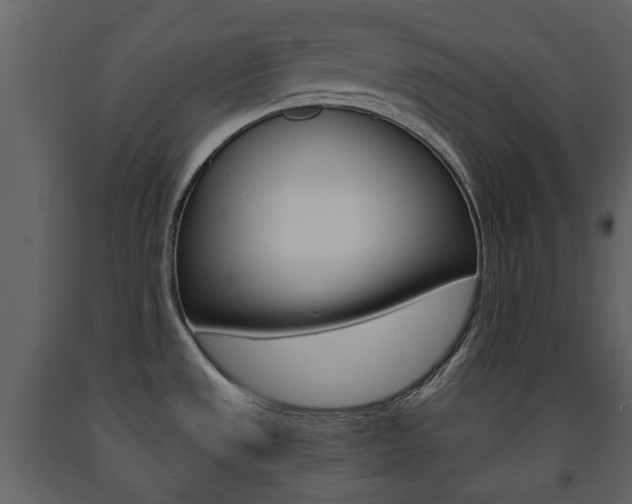 X0000091681533200708231056