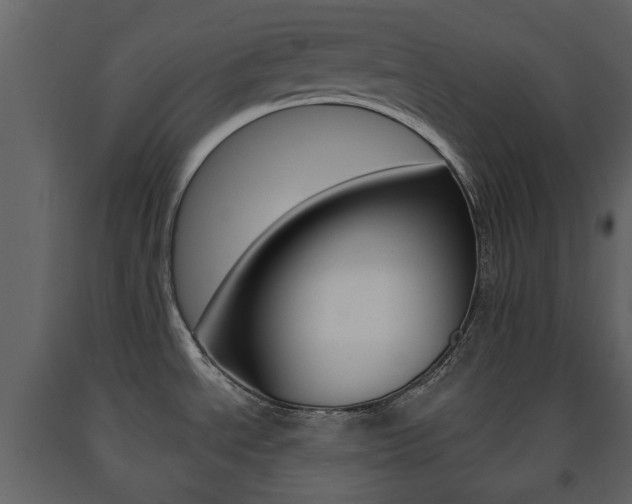 X0000091681534200708231056