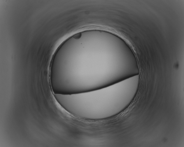 X0000091681535200708231056