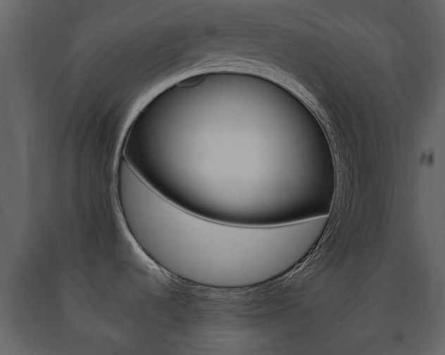 X0000091681536200708231056