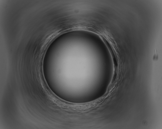 X0000091680001200708231427