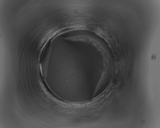 X0000091680002200708231427