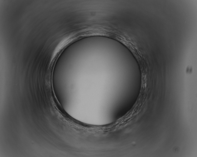 X0000091680004200708231427