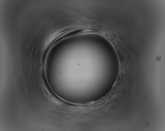 X0000091680005200708231427
