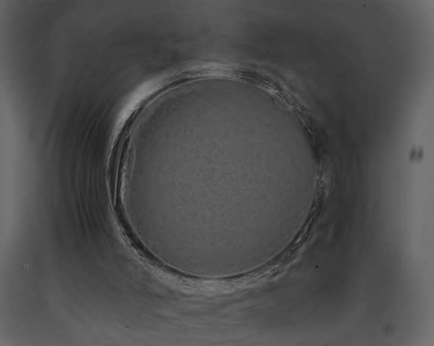 X0000091680006200708231427
