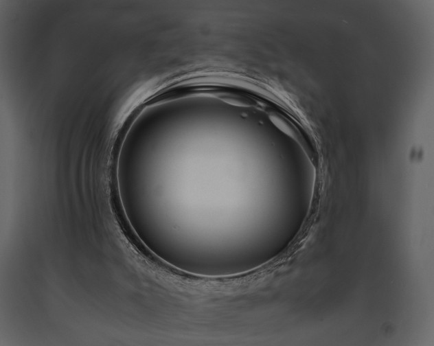 X0000091680007200708231427