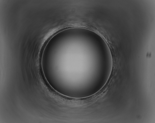 X0000091680008200708231427